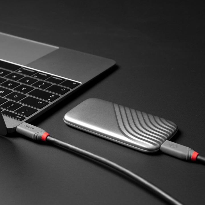 Immagine prodotto Lindy 0,8 m di cavo USB4 240W di tipo C, 40Gbit/s, spina Anthra Line di tipo C a spina C (0.80 m, USB 4.0)