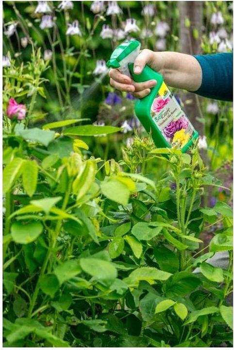 Actual product image Neudorff BioKraft vital cure for roses, 500 ml