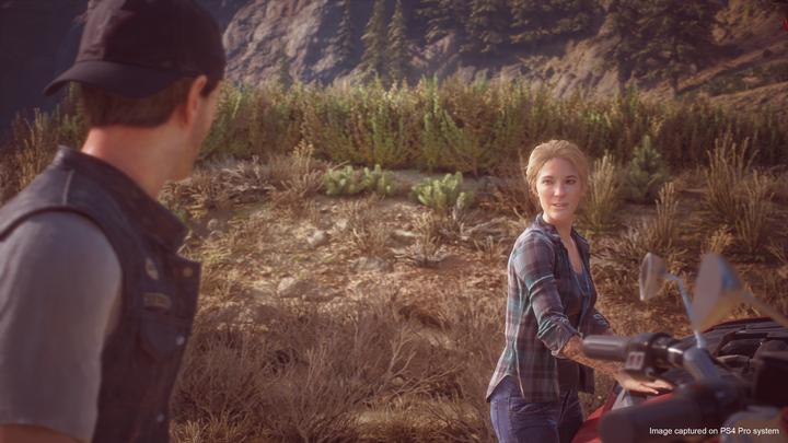 Produktbild Sony Days Gone (PS4, Multilingual)