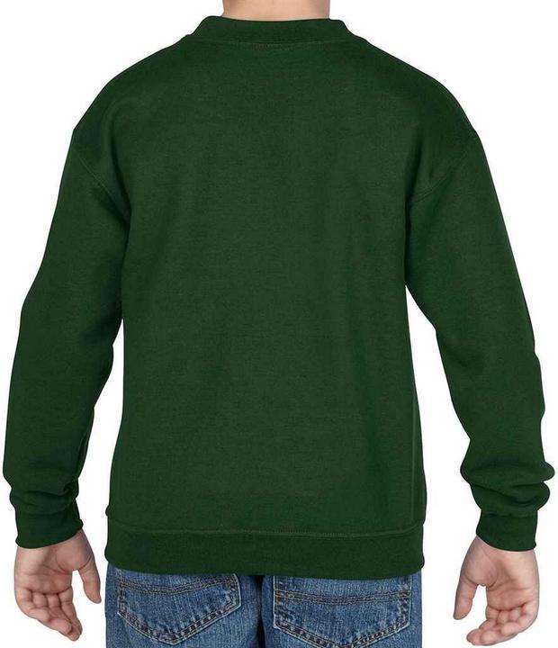 Actual product image Gildan Childrens/Kids Heavy Blend Drop Shoulder Sweatshirt (152, 158)