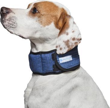 Image du produit Aqua Coolkeeper Pacific Blue (L, Chien, Général)