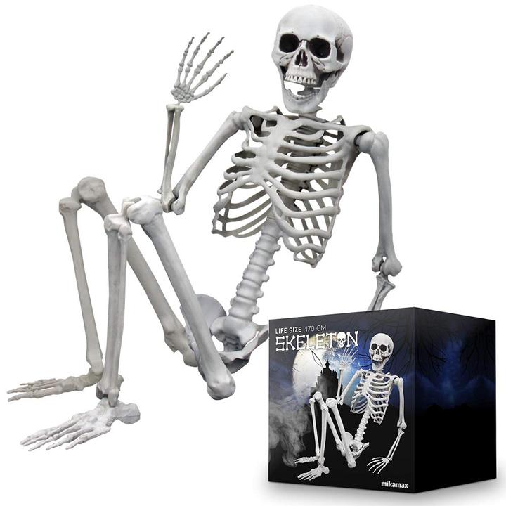 Actual product image TOP Life size skeleton