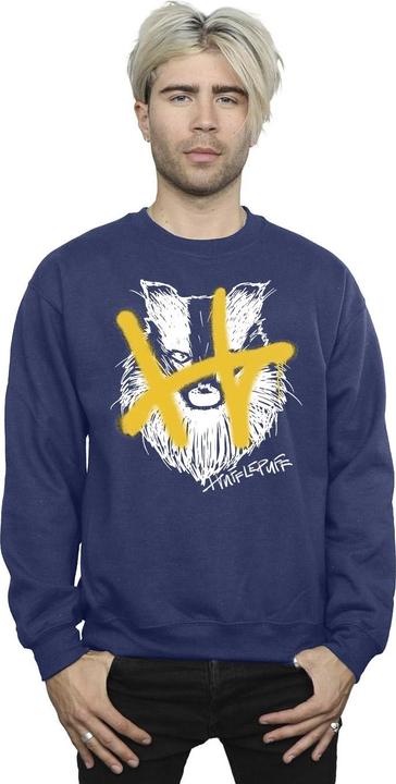 Image du produit - Sweat HUFFLEPUFF POP SPRAY - Homme (XL)