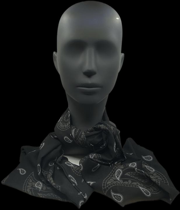 Industyle Design Foulard / Schal im Glarner Paisley Design, schwarz