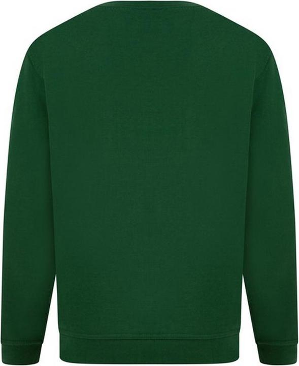 Image du produit Absolute Apparel Pull-over Sterling (6XL)