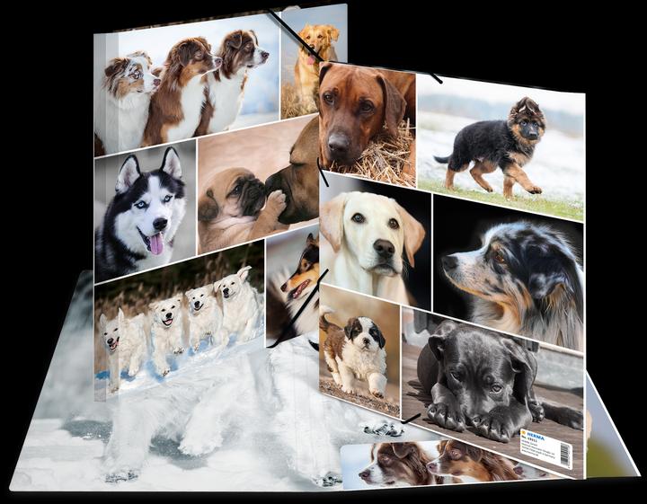 Actual product image HERMA A4 motif folder (A4, 1 x)