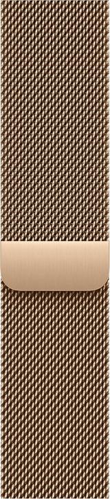 Actual product image Apple Milanese Loop (Stainless steel)