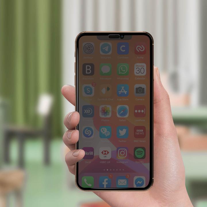 Actual product image Avizar Privacy glass screen protector (1 Piece, Apple iPhone 11 Pro Max)