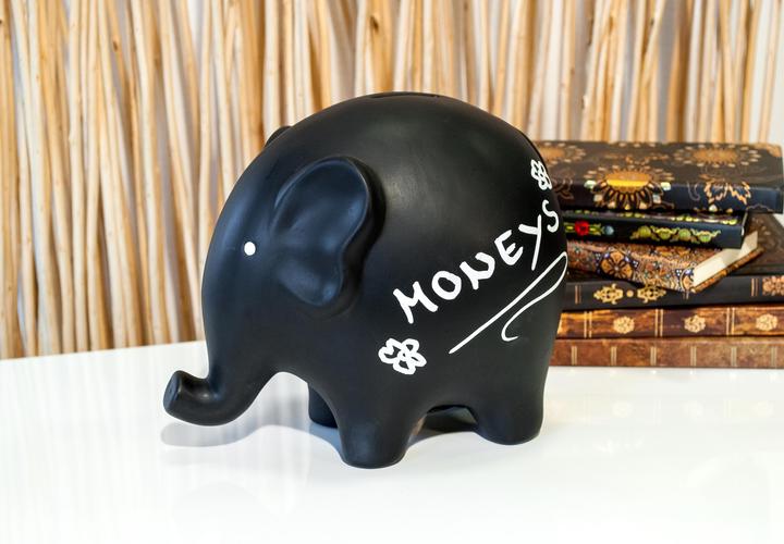 Actual product image Pajoma Elephant