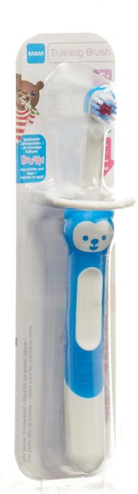 Actual product image MAM Training Brush assorted (Extra soft, 1 x)