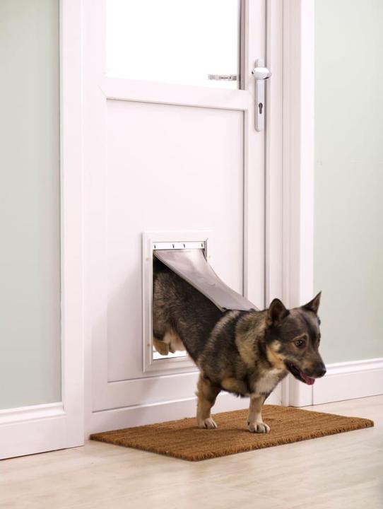 Produktbild PetSafe Haustierklappe Staywell® Haustiertüre (Manuelle Katzenklappe)