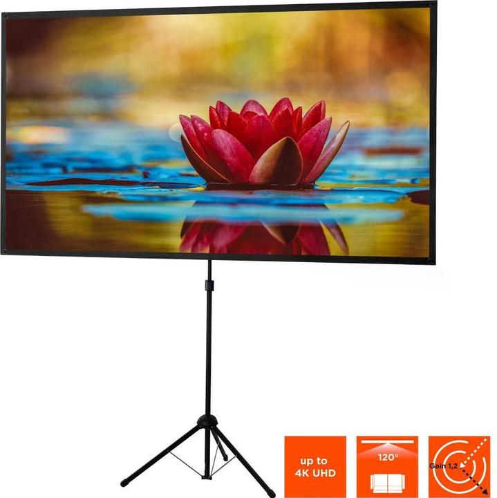 Actual product image Celexon Ultra-Lightweight (80", 16:9)