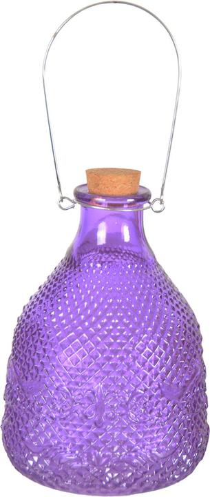 Immagine prodotto Esschert Design Wasp Trap Hobnail Glass 3 Colori L