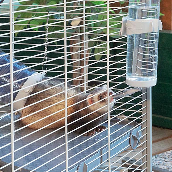 Actual product image Ferplast Furet Tower