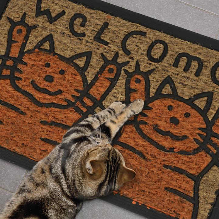 Actual product image Relaxdays Coir Doormat (60 x 40 x 0.5 cm)