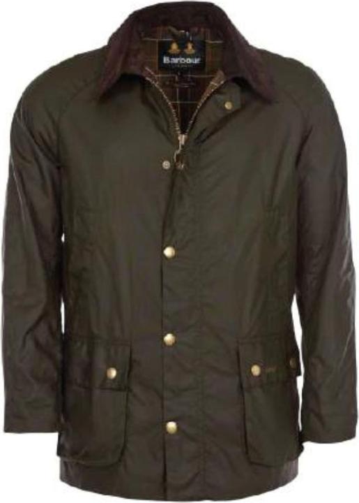 Barbour Ashby