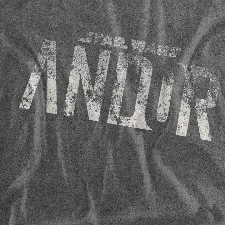 Actual product image Star Wars Mens Distressed Logo T-Shirt (L)