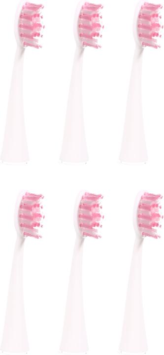 Actual product image Ailoria Shine Bright (6 x)