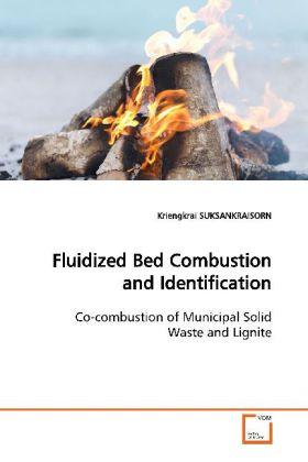 Actual product image Fluidized Bed Combustion and Identification (Kriengkrai Suksankraisorn, 2009)