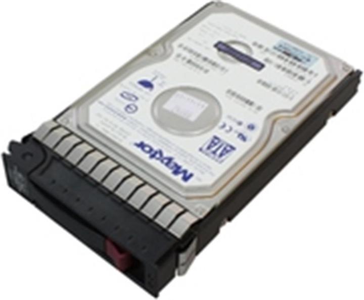 HP Enterprise 250GB SATA 7.200Rpm (0.25 TB, 3.5")