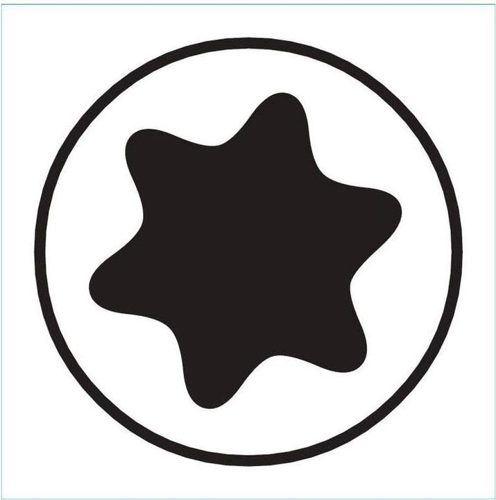 Image du produit PB Swiss Tools Lame pour vis TORX® (Six pans creux TX M40)