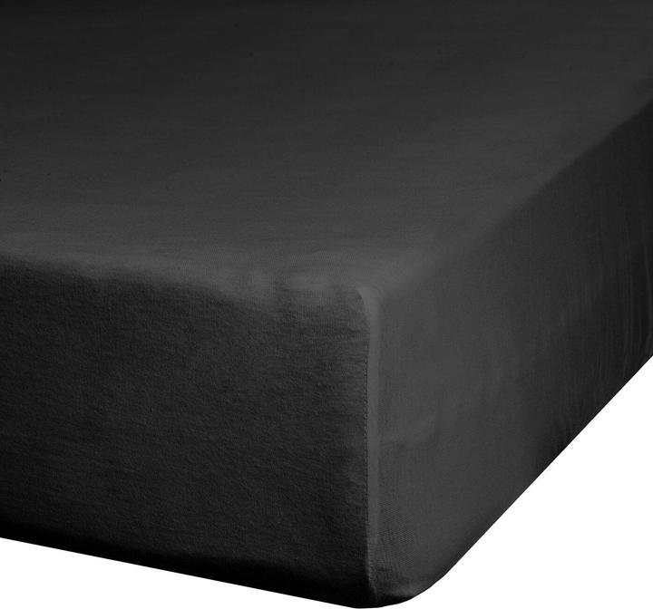 Image du produit Eurofirany By (140 x 200 cm)