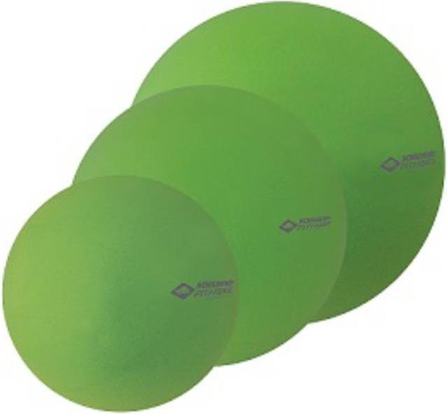 Immagine prodotto Schildkröt Palla da pilates (28 cm)