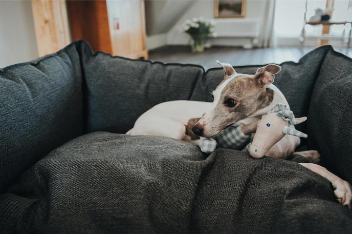 Produktbild Hunter Hundesofa Livingston Webstoff (Hund)