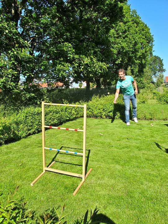 Image du produit Bex Toy Activity Game Spin Ladder