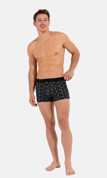 Actual product image HOM Retro Boxer Dizzy HO1 (M, Single pack)