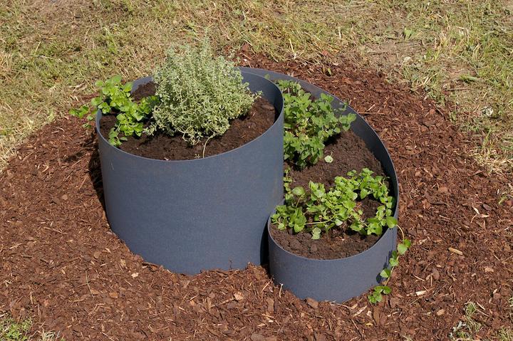Actual product image FVG Herb spiral