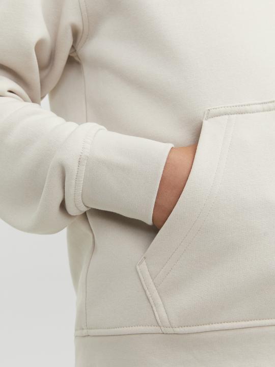 Image du produit Jack & Jones Sweat à capuche (128)