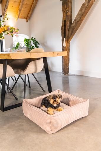 Image du produit Designed by Lotte Ribbed (Chien)