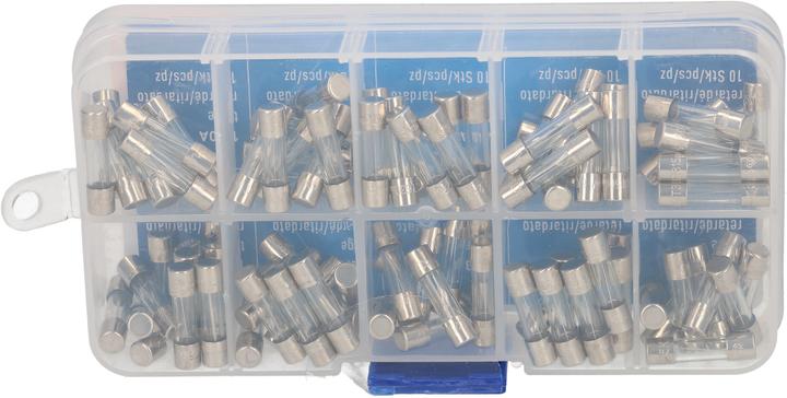 Image du produit Max Hauri Fine-wire fuse set (Microfusible, 10 A, Paresseux)