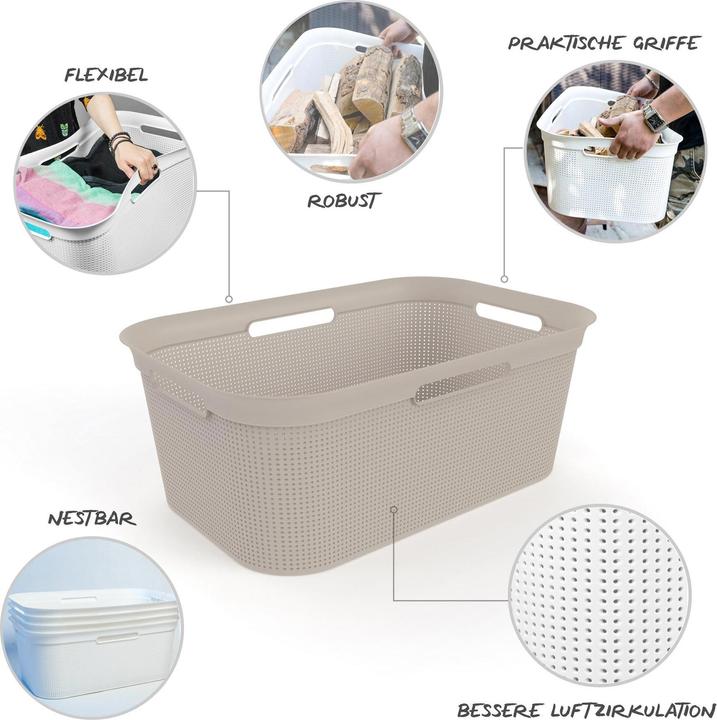Actual product image Rotho Breezes (41 l)