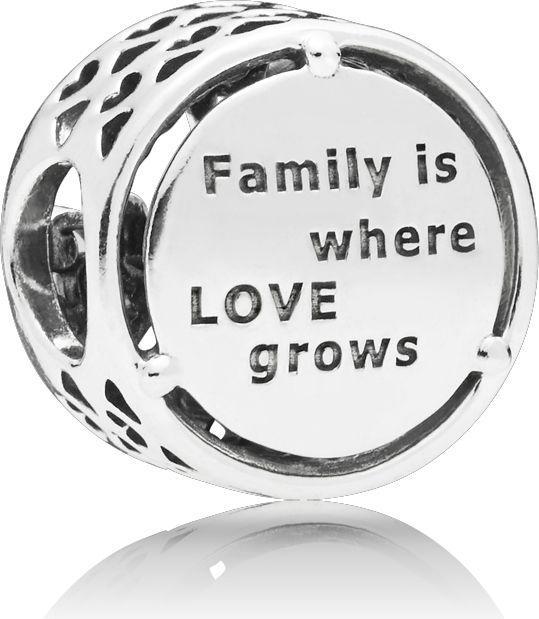 Image du produit Pandora Charm Hommage Familial (Argent)