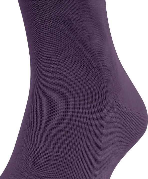 Actual product image Falke Tiago (3-pack) knee socks, colour 8860 wine berry, size 43-44 (Single pack, 43 - 44)