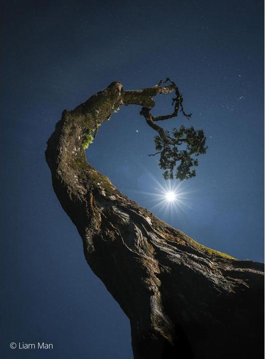 Immagine prodotto Sony FE 20-70mm f/4 G (Sony E, Full-frame)