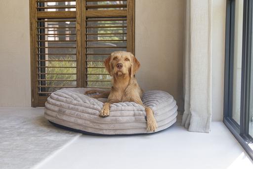 Produktbild Designed by Lotte Liegekissen Reza (Hund)