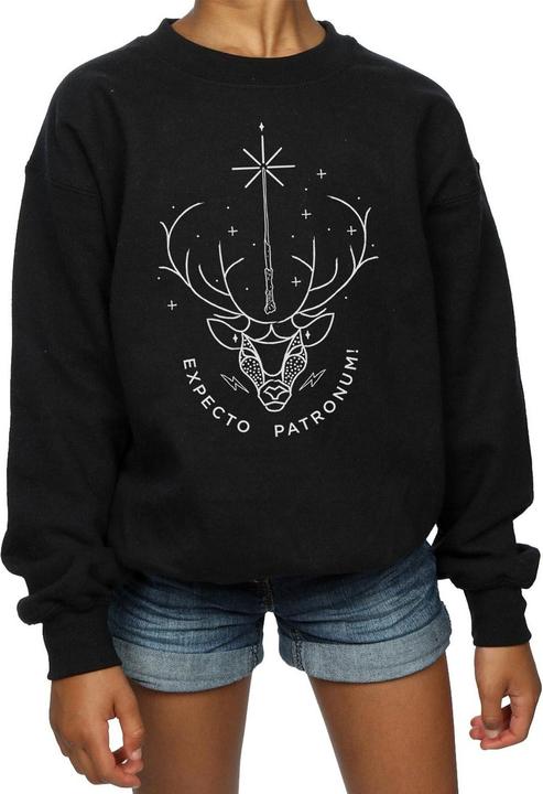 Actual product image Girls Expecto Patronum Charm Sweatshirt (152, 158)