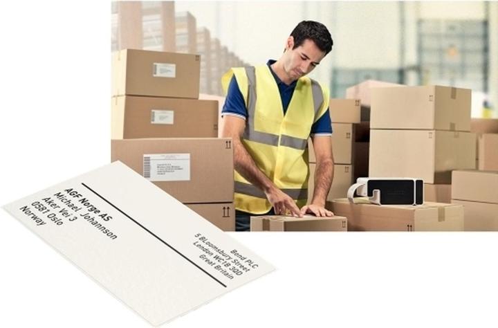 Actual product image Leitz Shipping labels ICON