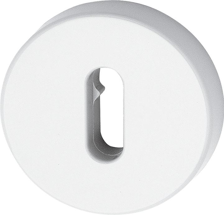 Actual product image Hewi Key rosette flat ø 55 x 10.5 mm with screws Polyamide pure white (Door set)