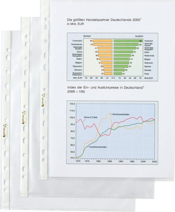 Actual product image Neutral Leaflet cover 224951 top quality 10 pieces (A4, 10 x)