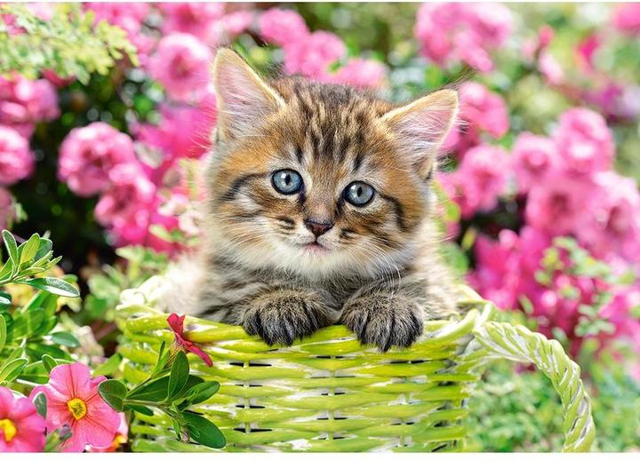 Actual product image Castorland Kitten in Flower Garden,Puzzle 500 pieces (500 pieces)