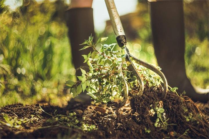 Image du produit Fiskars Coude Xact