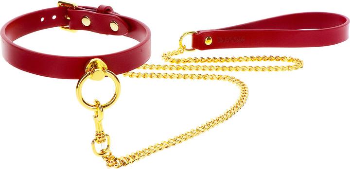 Actual product image Taboom O-Ring Collar and Chain Leash