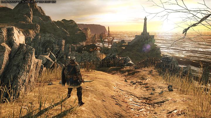 Image du produit Bandai Namco Sony Ps4 Jeu Dark Souls Trilogy (PS4)