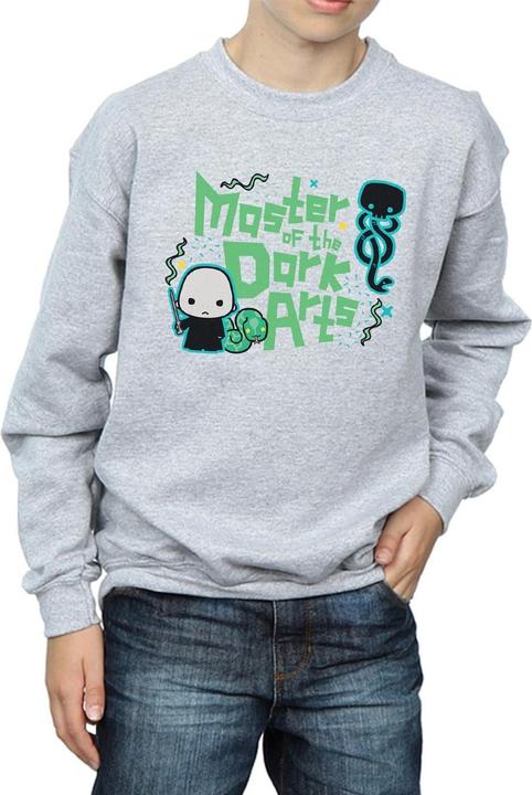 Image du produit - Sweat VOLDEMORT DARK ARTS JUNIOR - Garçon (152, 158)