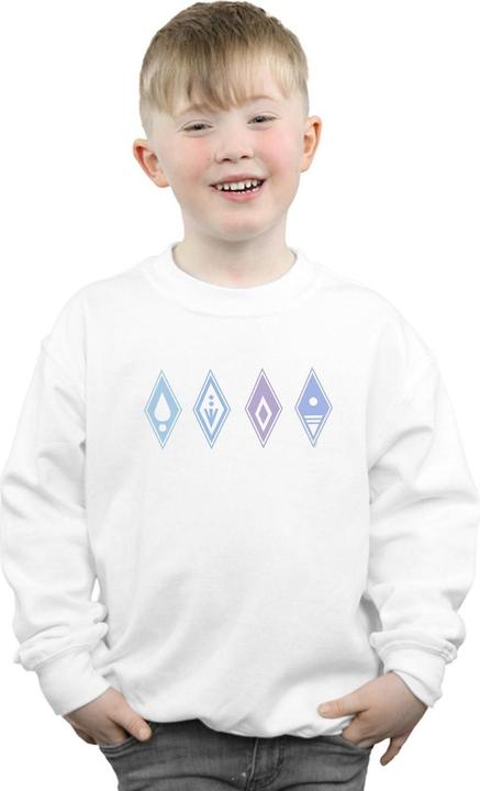Actual product image Disney Boys Frozen 2 Elements Symbols Sweatshirt (128)