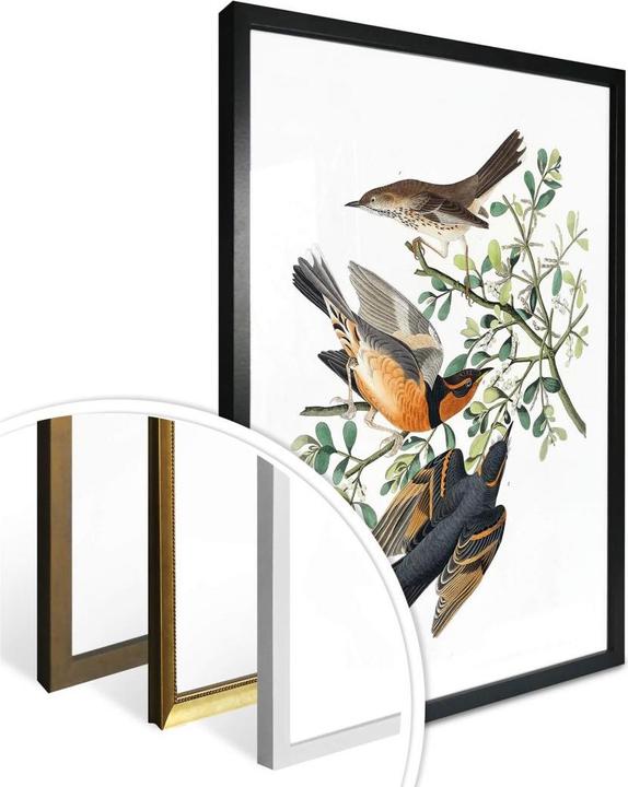 Immagine prodotto Trenddeko Tre strozzatori (50 x 60 cm)